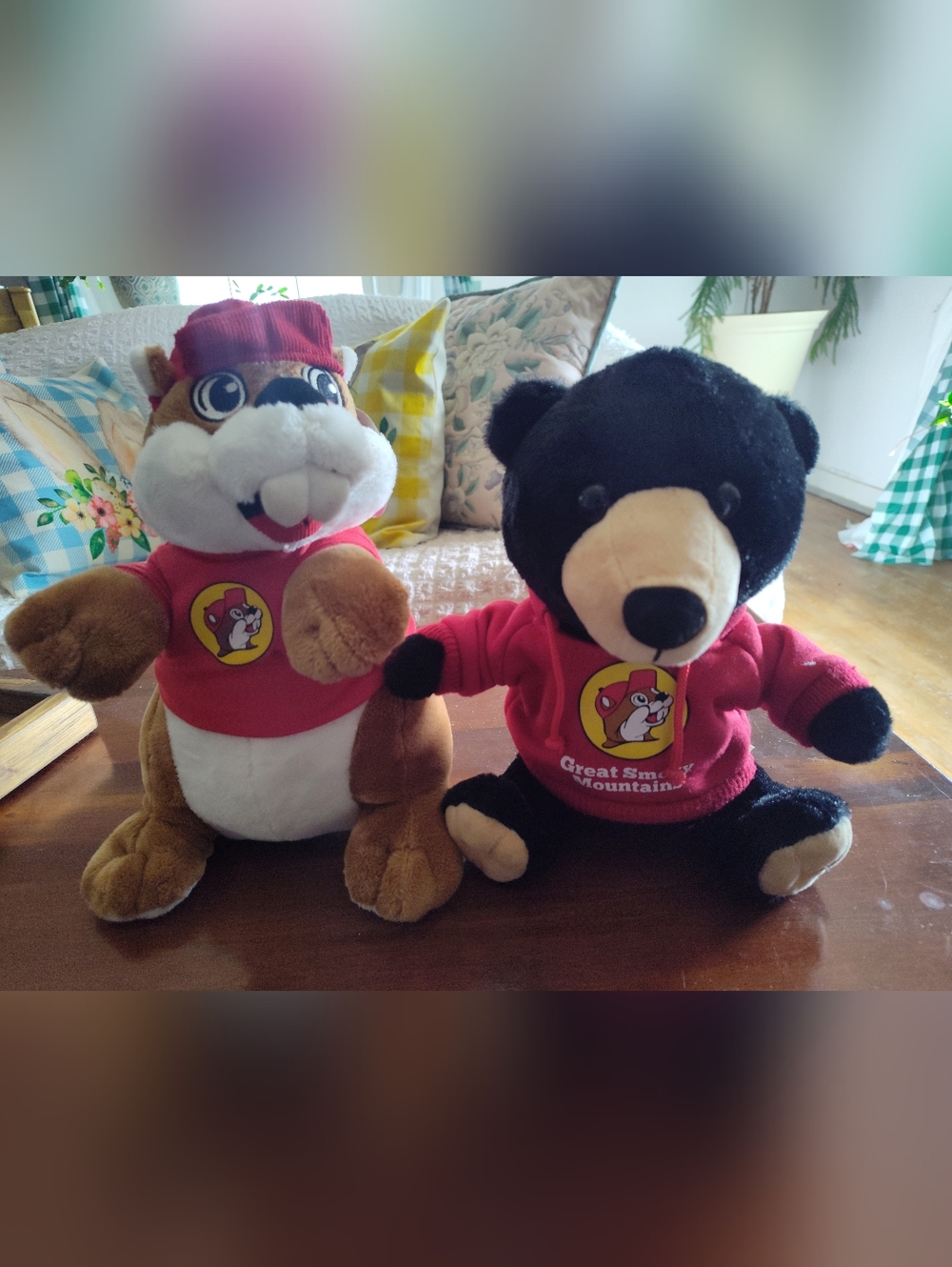 Two Buc-ee's Plush Stuffed Animals Bucky Has The Tag. Used